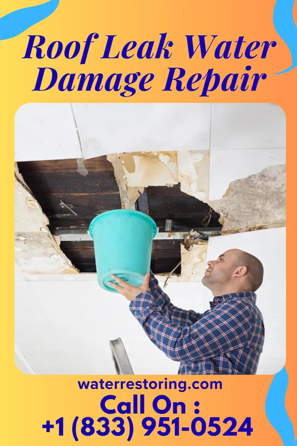 Roof Leak Water Damage Repair in Carlstadt, NJ
