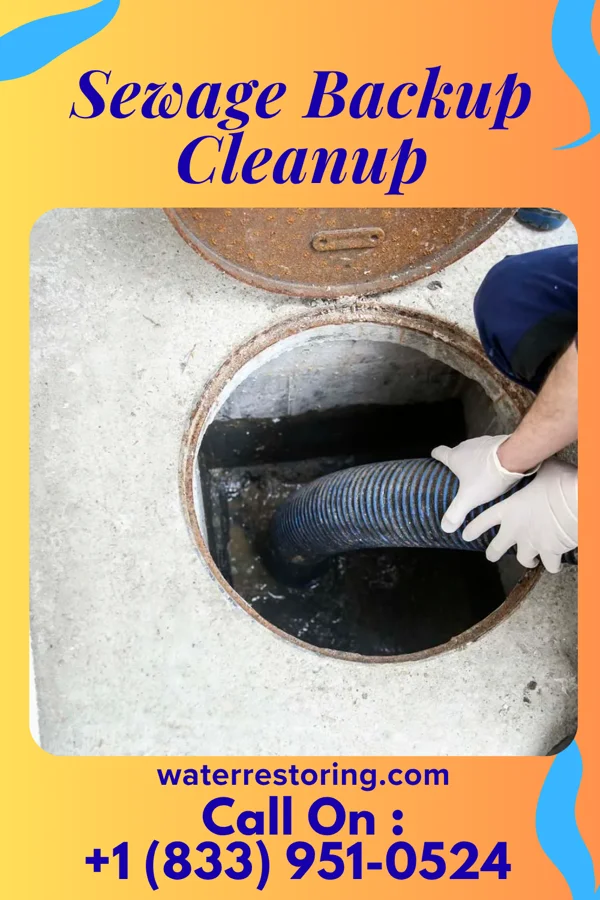 Sewage Backup Cleanup in Carlstadt, NJ