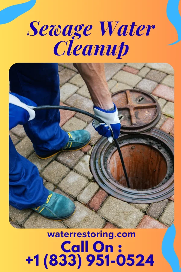 Sewage Water Cleanup in Carlstadt, NJ