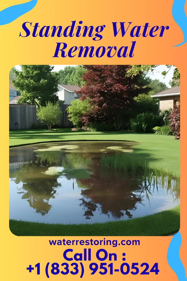 Standing Water Removal in Carlstadt, NJ
